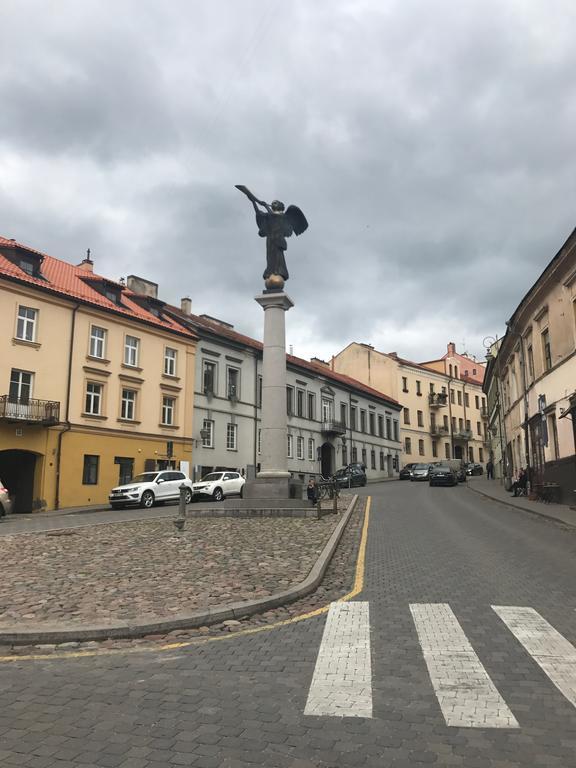 Uzupis Apartments - Old Town ヴィリニュス エクステリア 写真
